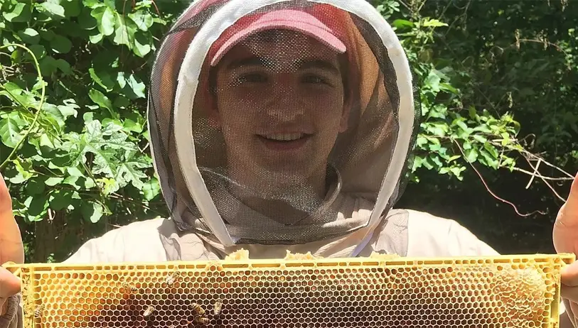 Dylan